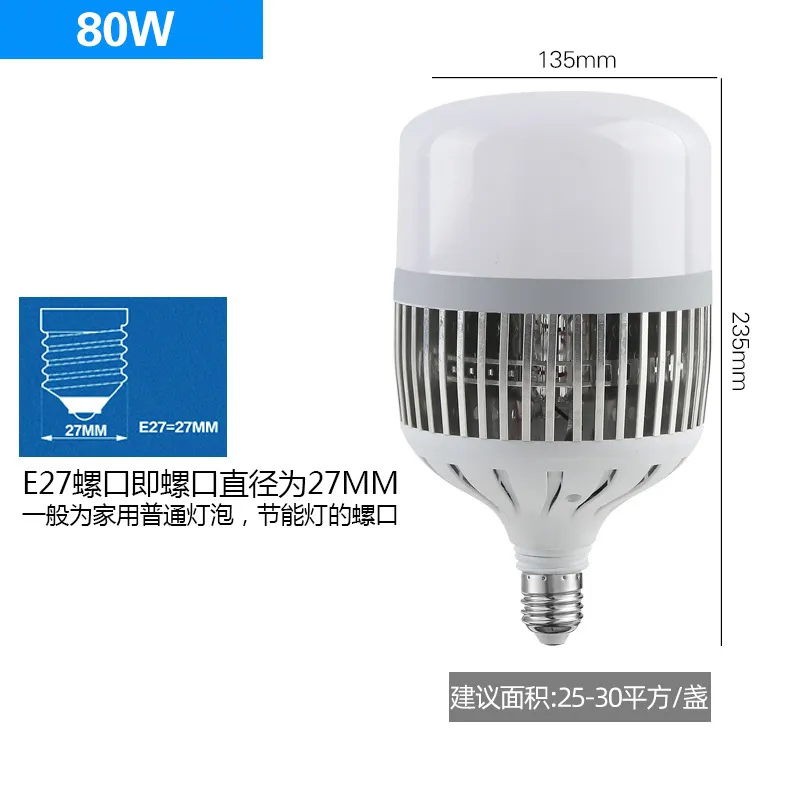 LED High Bay Bulb Detail