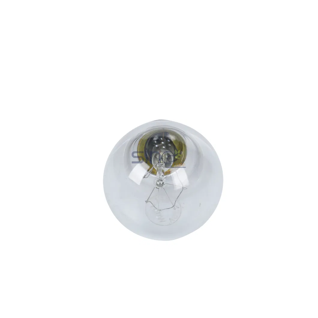 Incandescent Clear Light Bulb 2