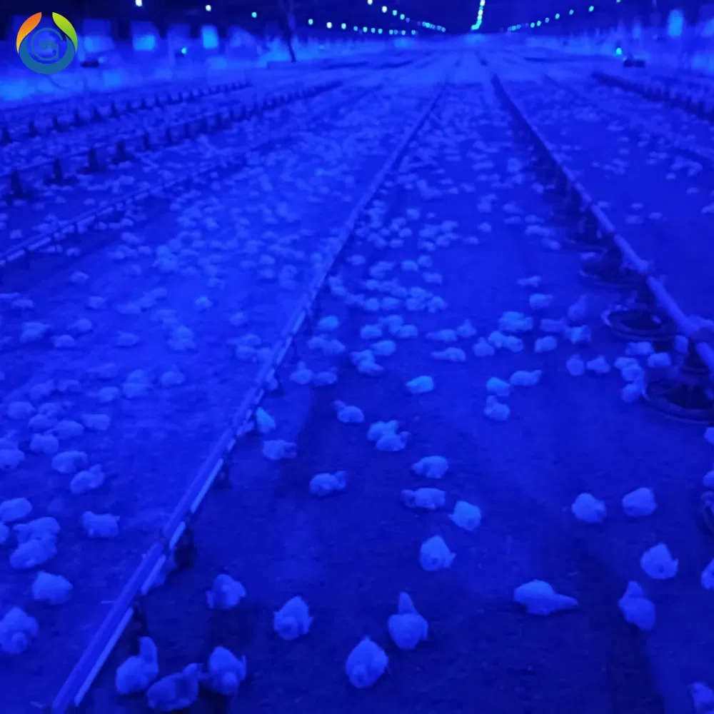 Poultry Farm Application 1