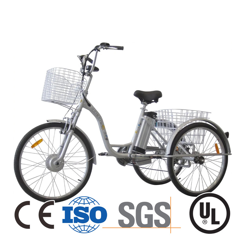 Fully Enclosed 72V 3000W Cargo 3 Wheel EV Motorcycle for Sale
