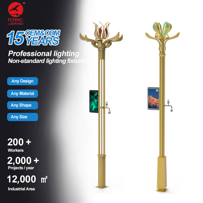 Intelligent Smart Street Light Pole with EV Charger-All-in-One IoT Solution Adjustable Height &amp; Customizable Size Urban Lighting