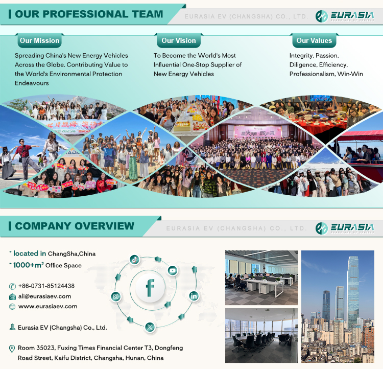 Company Overview 1