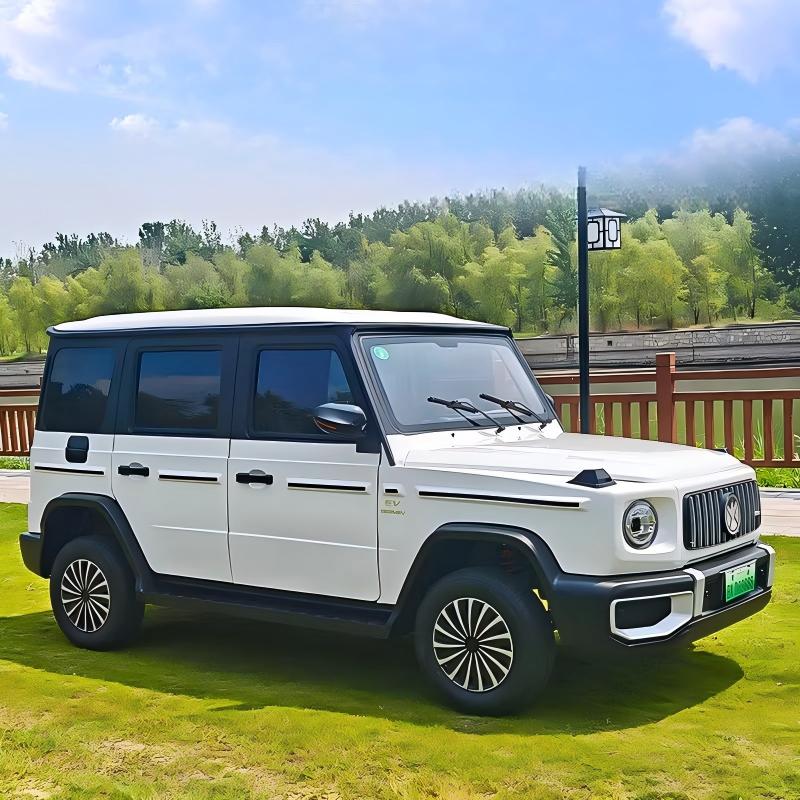New Energy Fully Enclosed Low Speed EV High Quality Commuter Car LED Headlight Safety Brake System 101-200km Range 110kWh