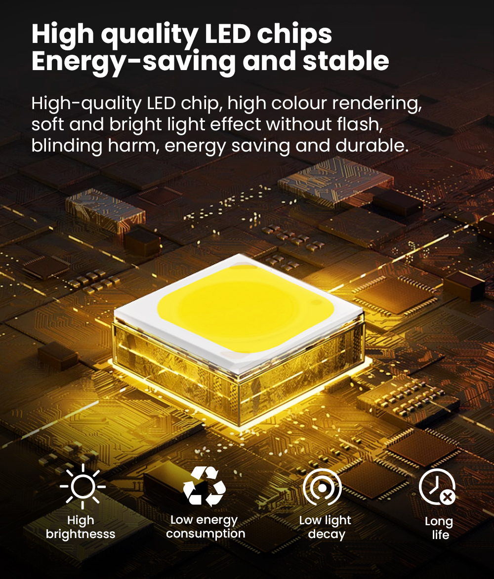 LED Light Showcase 4