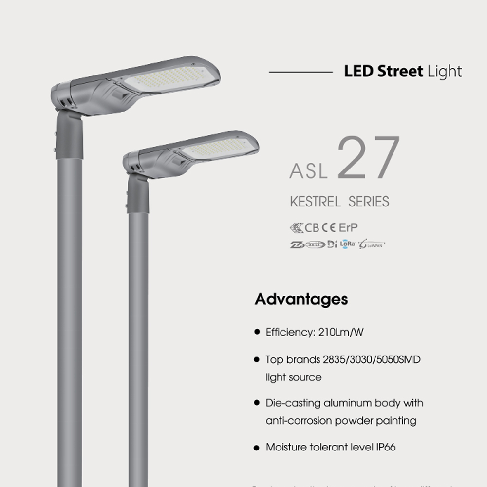 Smart EV Street Lamp Pile Car Charger Station IP67 Cat Eye Highway Street Light AC Powered LED Lighting for Road Application