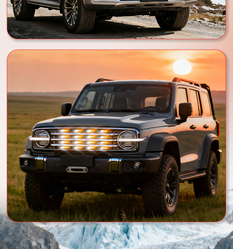 OEM Car Grille Light Wireless Remote Control Waterproof LED Daytime Running Light for Global Vehicle Models Customizable