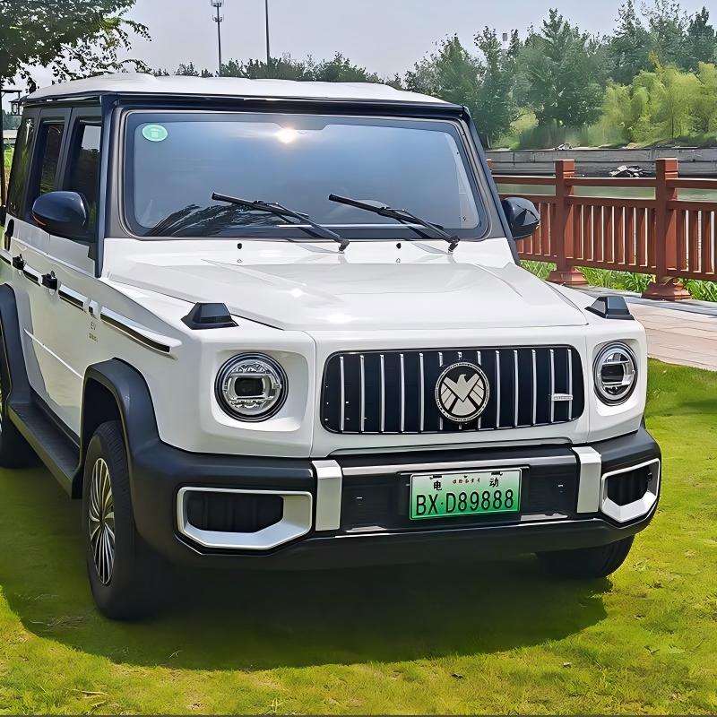 New Energy Fully Enclosed Low Speed EV High Quality Commuter Car LED Headlight Safety Brake System 101-200km Range 110kWh
