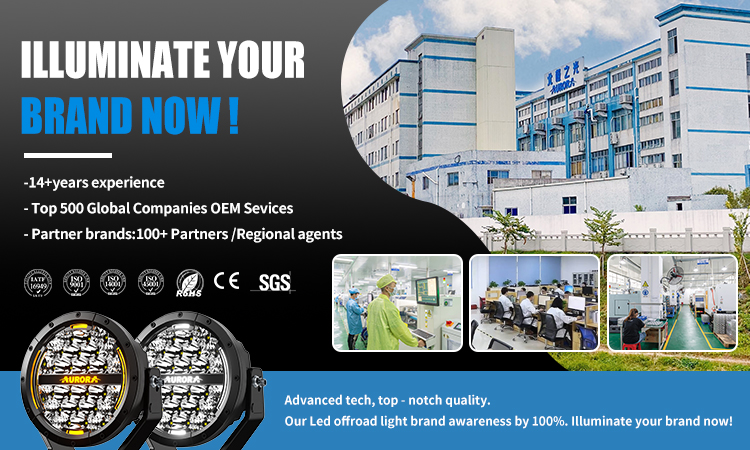 Company overview