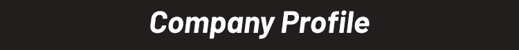 Company Overview 1
