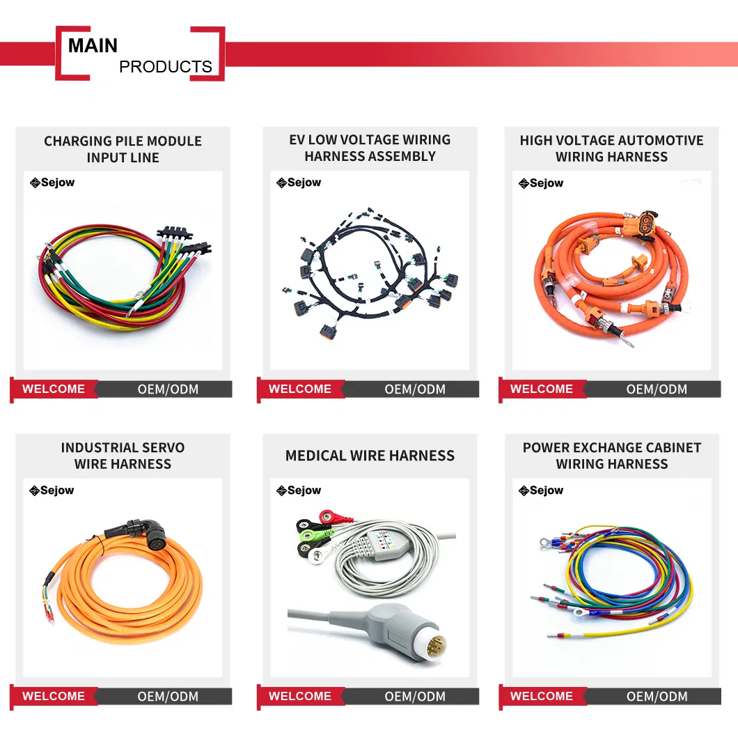 Wiring Harness detail