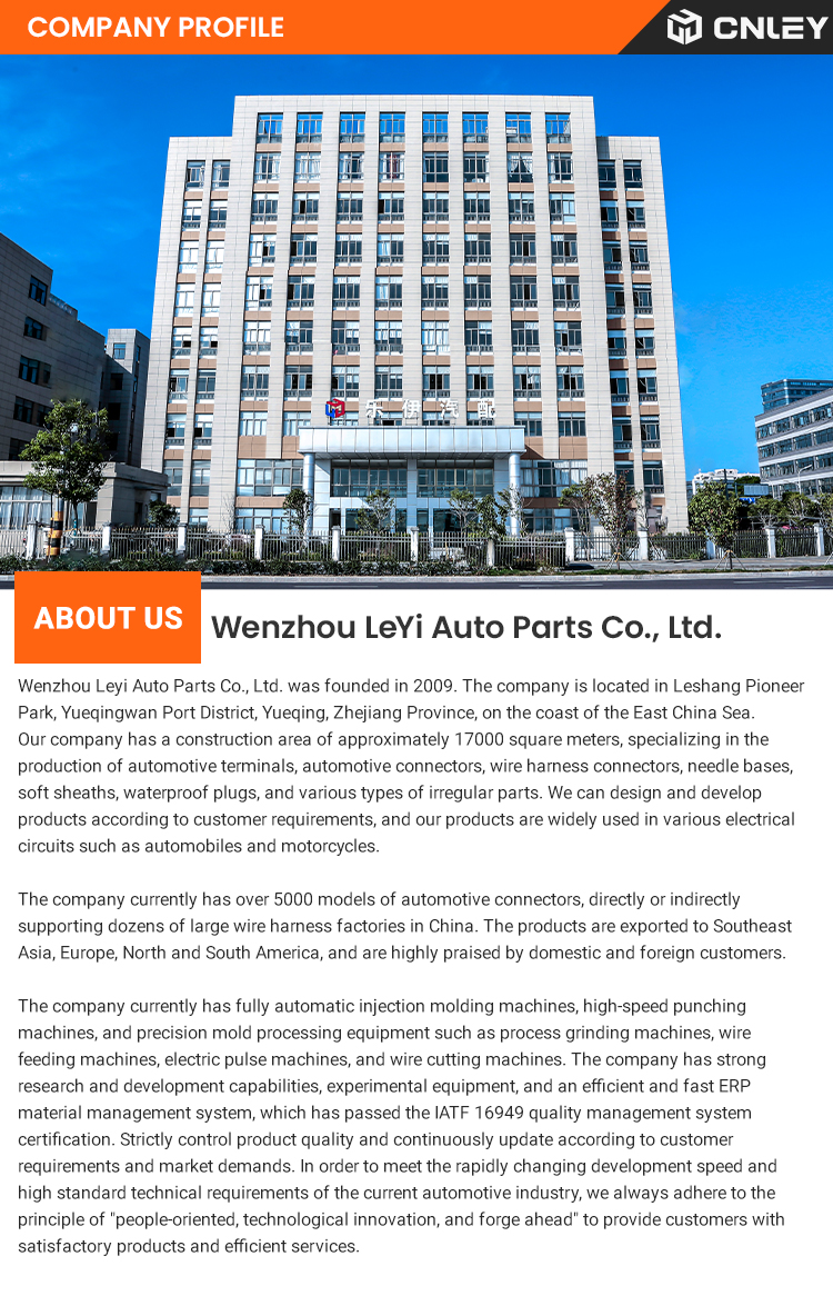 Company Profile 1