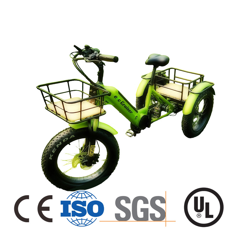 Fully Enclosed 72V 3000W Cargo 3 Wheel EV Motorcycle for Sale
