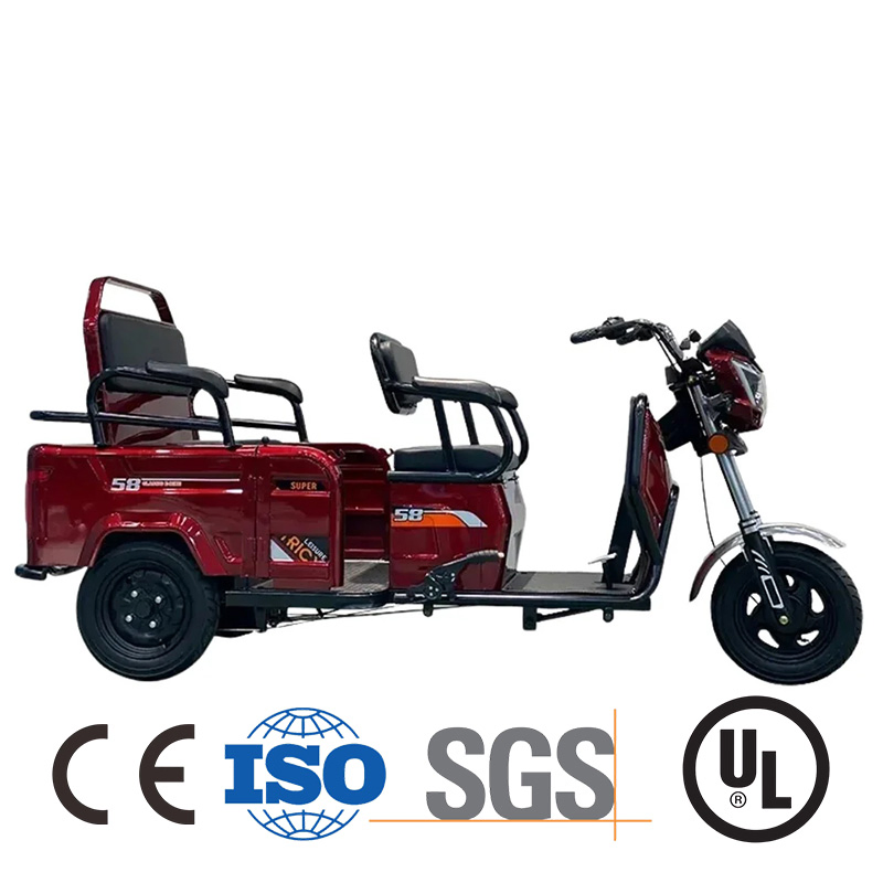 Cool 72V 3000W Passenger Three Wheel EV Motorcycle for Sale
