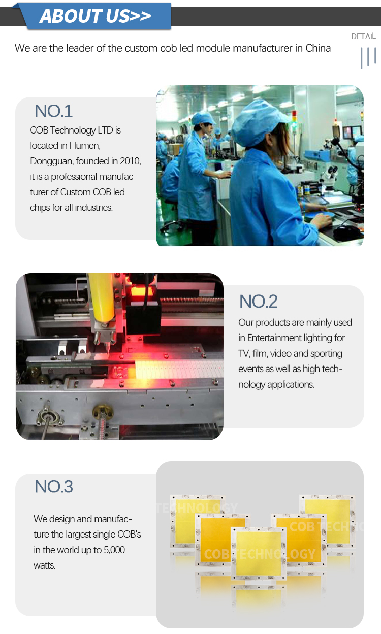 Company Information Overview