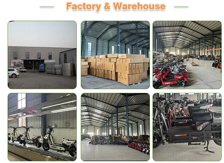 Packing and delivery details