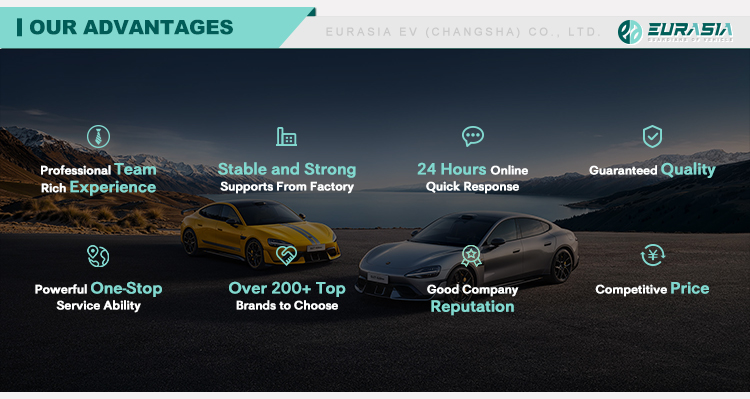 Our Advantages Infographic