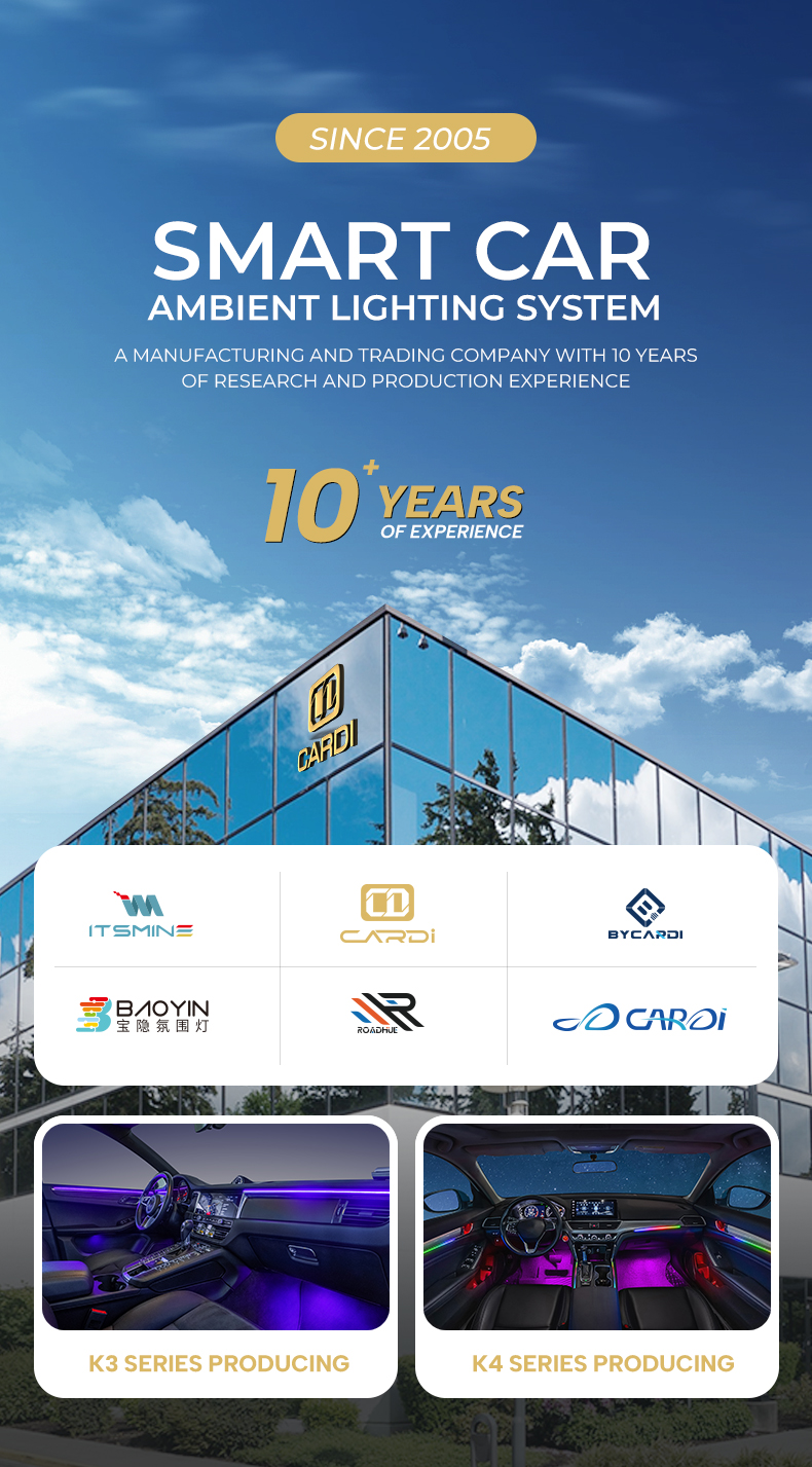 Company Introduction