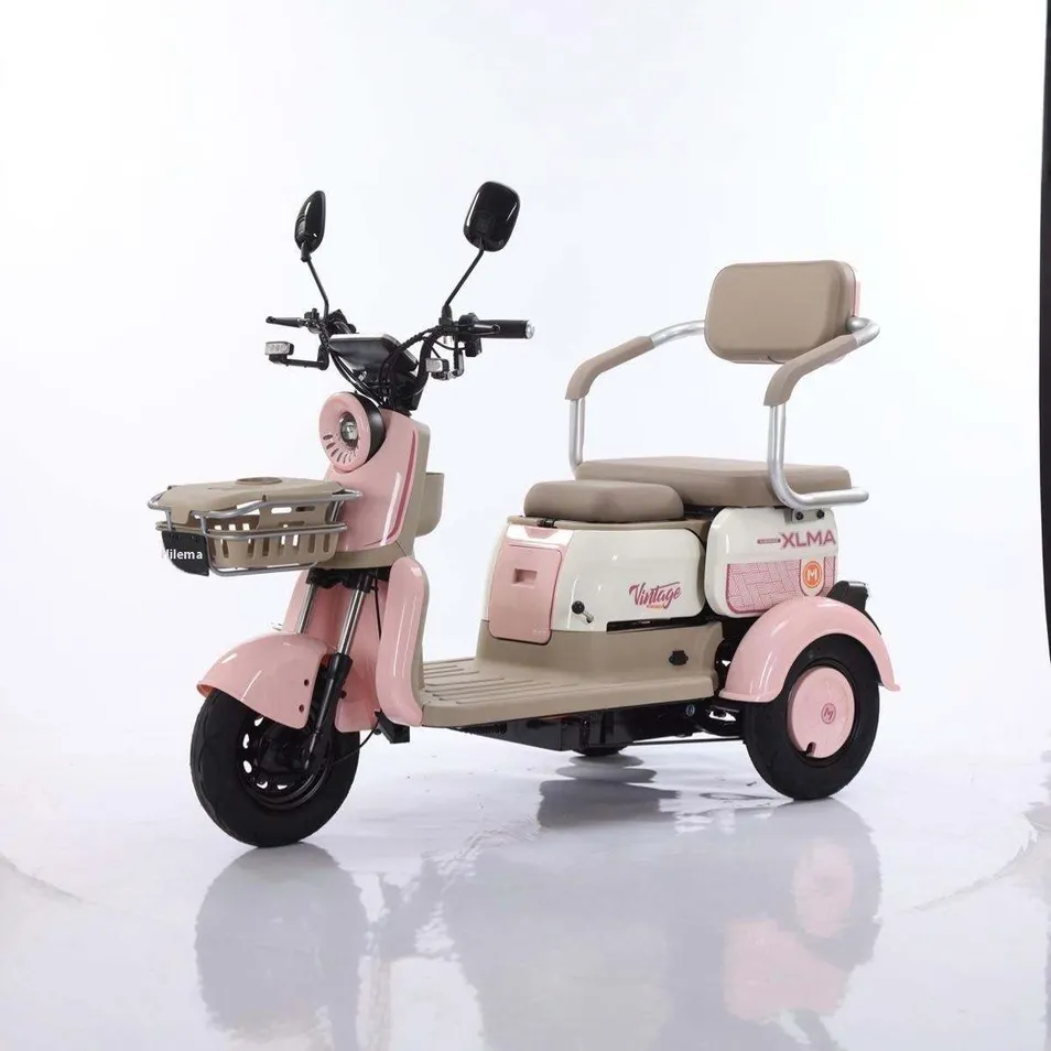 Wholesale 650W 3-Wheel Electric Bicycle