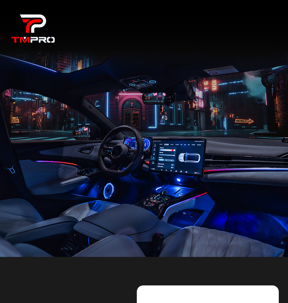 High Bright RGB LED Ambient Light for BYD Seal EV 2022-2023 Interior Lighting System Interior Trim