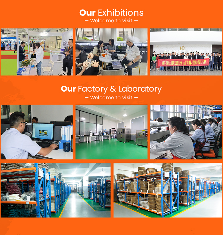 Company Profile 3