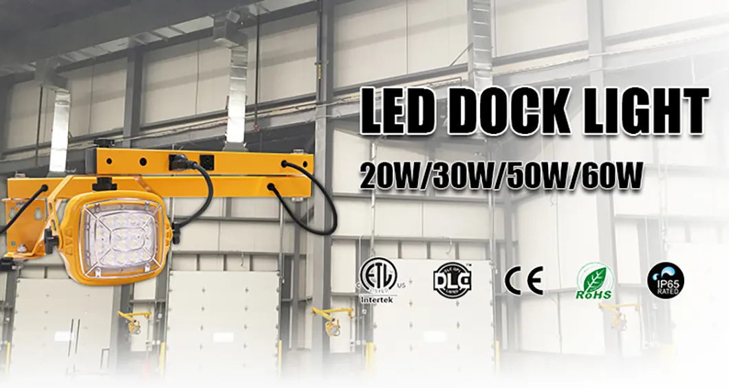 IP65 31.9*16.3*7cm Motorcycle Lasers Truck Auto LED Dock Lighting