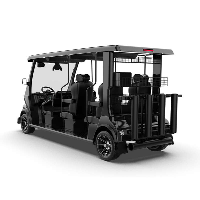 New Arrive 6 Seater 48V 72V Lithium Battery Mini EV Golf Cart