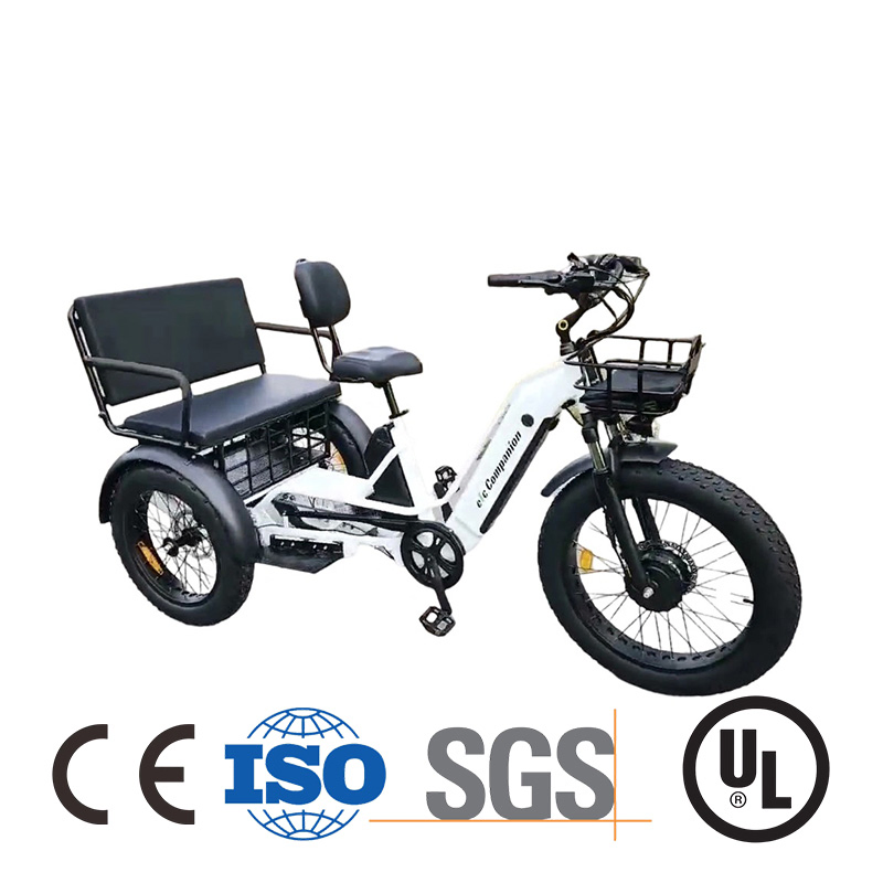 Cool 72V 3000W Cargo 3 Wheel EV Motorcycle Price