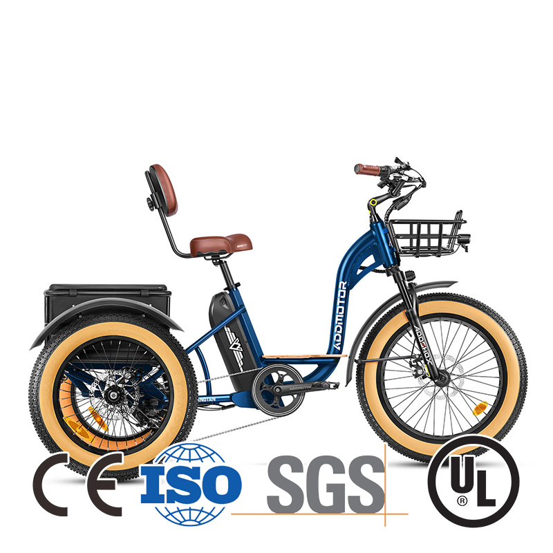 Fully Enclosed 72V 3000W Cargo 3 Wheel EV Motorcycle for Sale