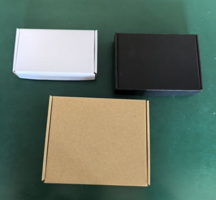 Packaging type 1