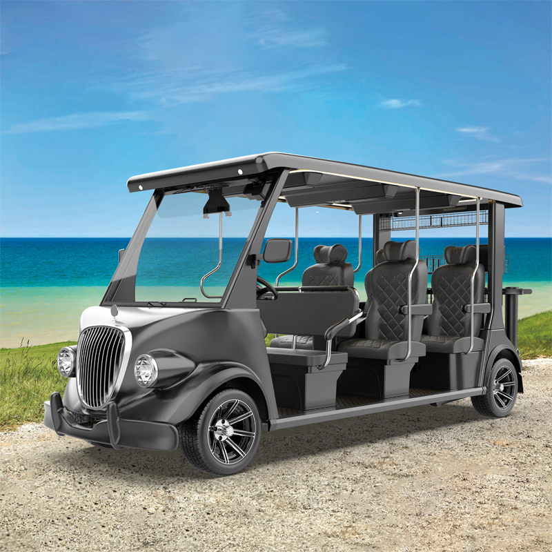Best Brand 6 Seats Cool Buggy 48V 5kw Black Electric Golf Cart
