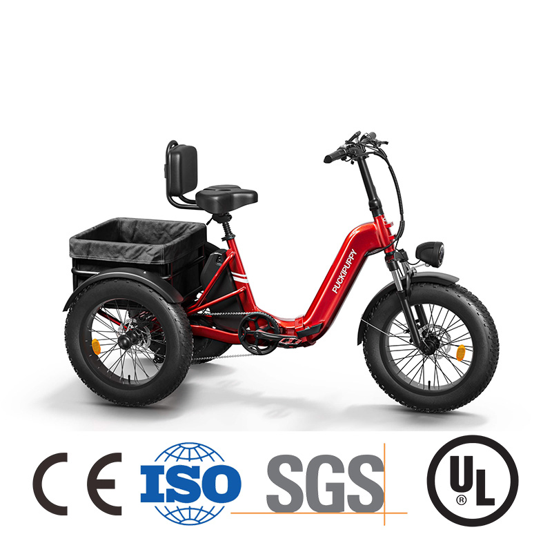 Fully Enclosed 72V 3000W Cargo 3 Wheel EV Motorcycle for Sale