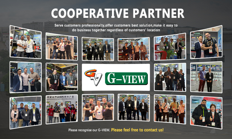 Partners