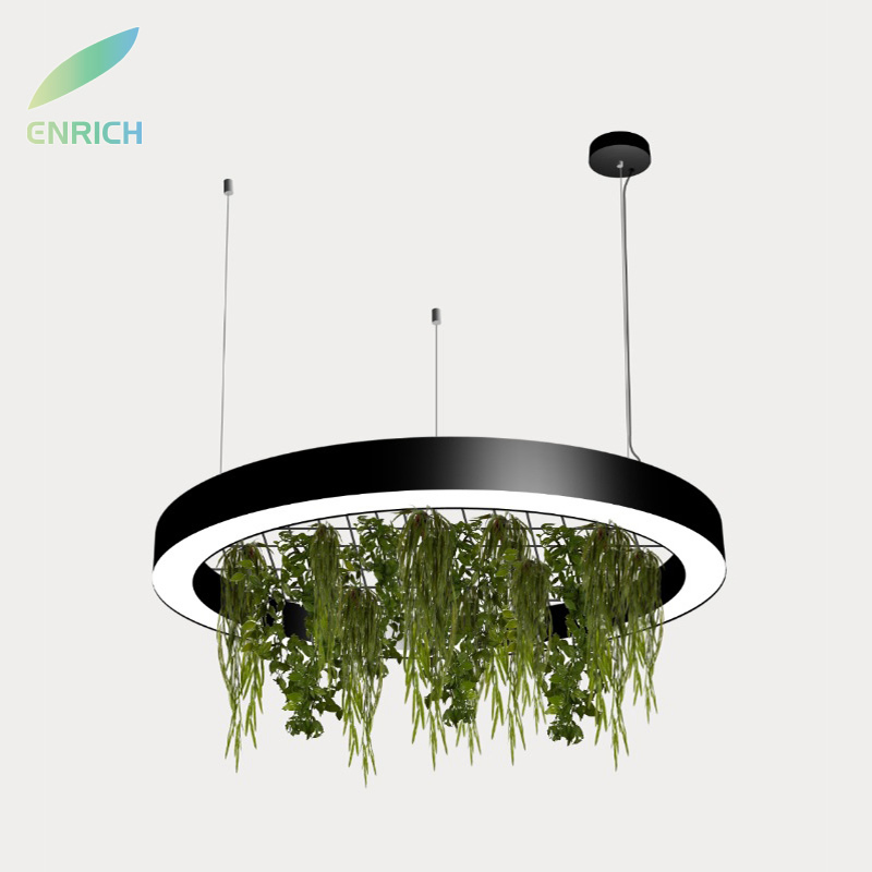 Biophilic Lighting LED Green Plants Pendant Dali Casambi Office Workspace Hotel Restaurant School