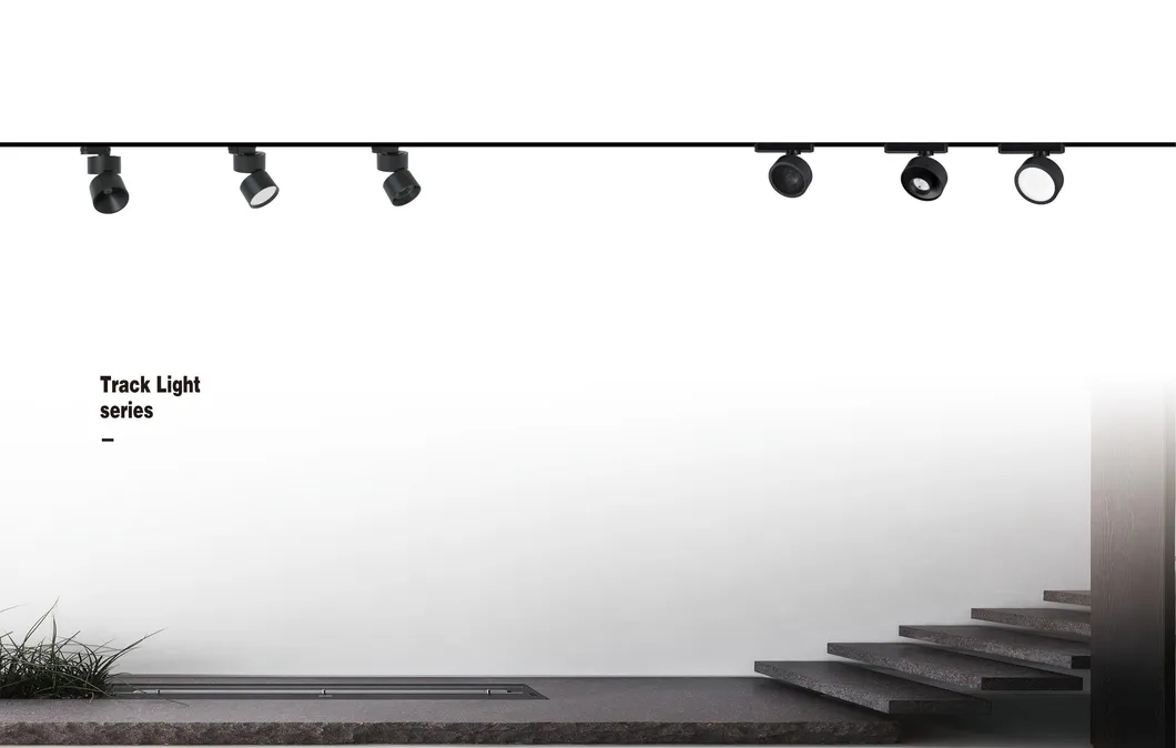 Track Light Dimensions