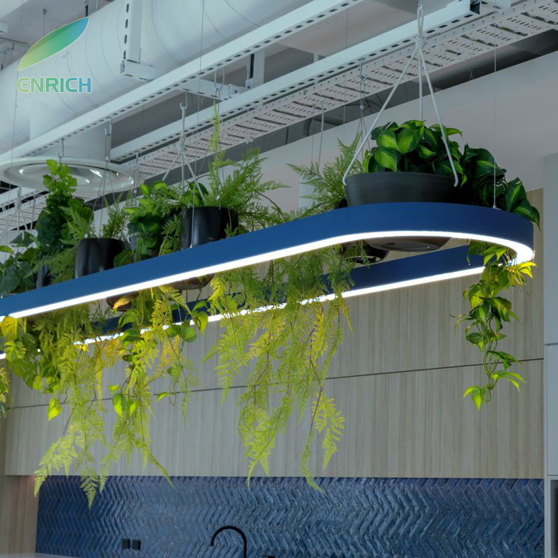 Sustainable Biophilic LED Green Plant Pendant Lighting for Hotel Restaurant School Gym College Hospital