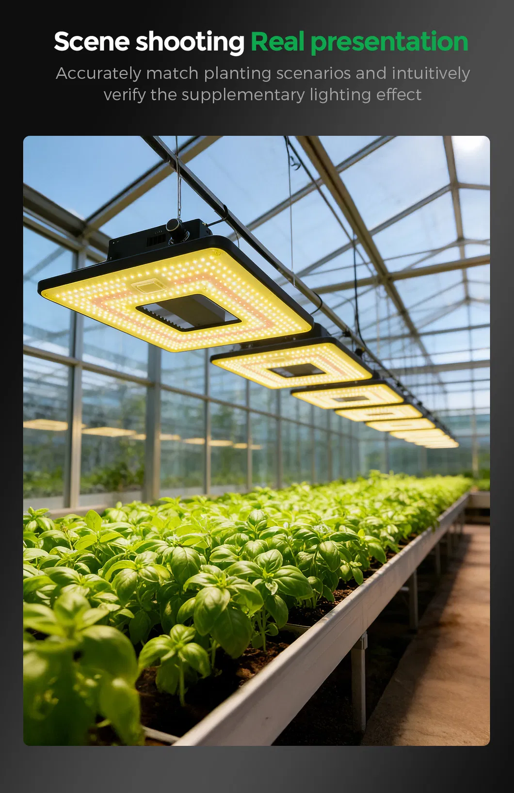 LED Grow Light 600W