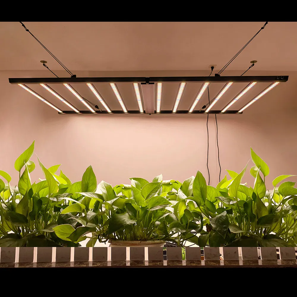 New Foldable 8 Inch Full Spectrum 670W Lm301h LED Bar Light Plant Grow Light for Commercial Horticulture Cultivation