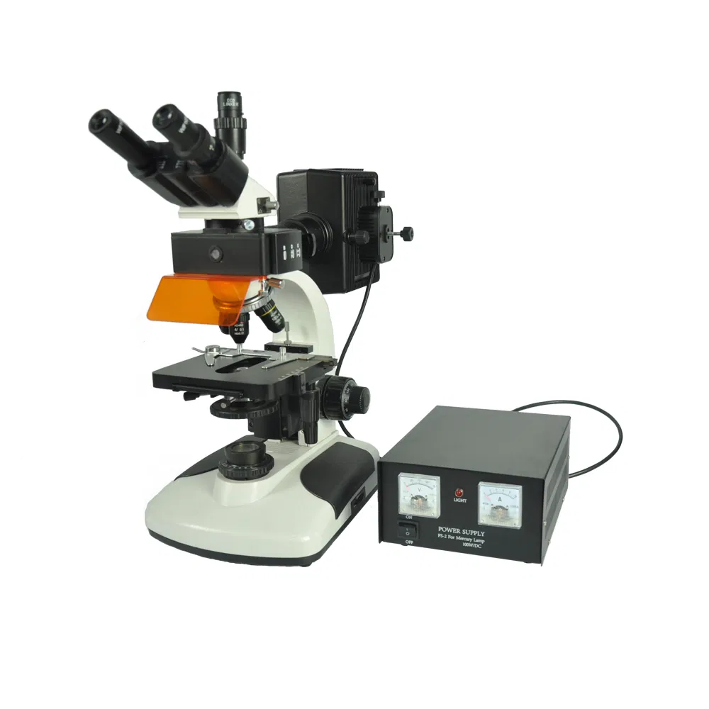 Fluorescence Biological Microscope