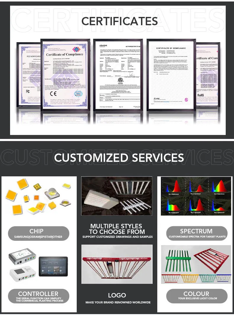 Customized Services