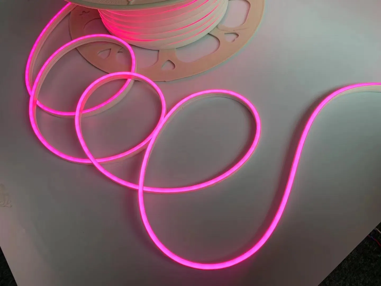 Festival LED Neon Lighting for Decoration Lamp