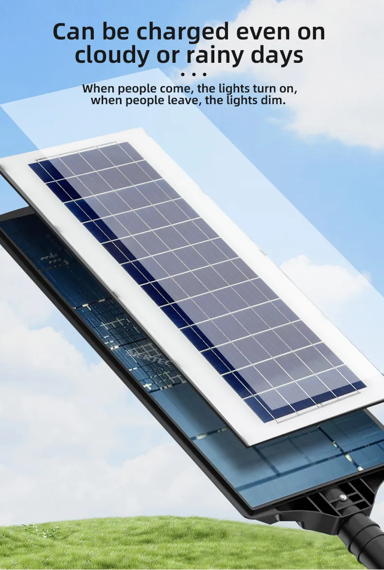 Solar Panel Details