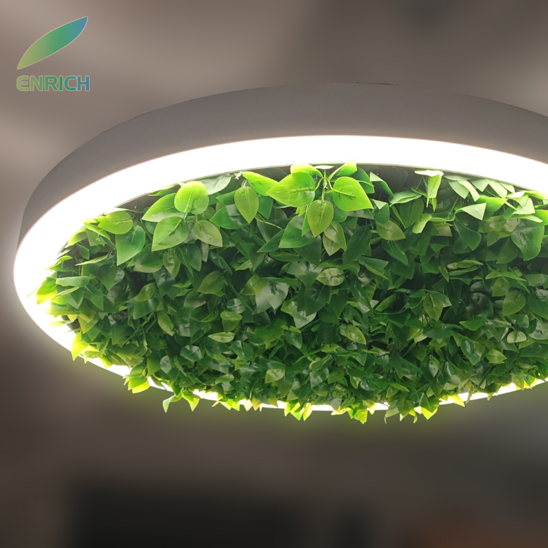 Oval Circle Aluminum Biophilic LED Plant Pendant Lighting Home Office Reception Lounge