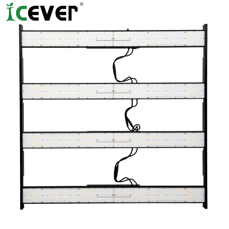 UV Single Channel Mmj QS Bar Type 1000 Watt Most Efficient LED Horticulture Lighting Grow Lights for Booster Mmj with Top Quantity (CE)