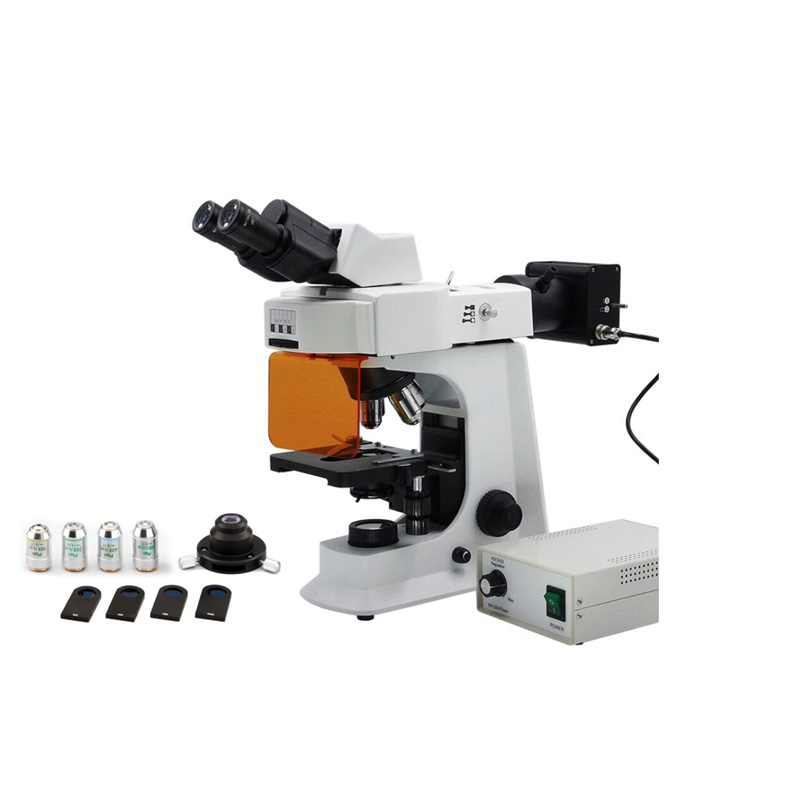 Biological Binocular Fluorescence Microscope with 5W LED Lamp Fluorescent Illumnation Unit