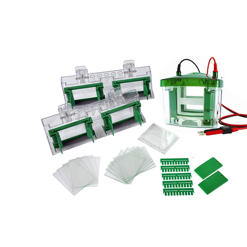 Biobase Fully Automatic Chemiluminescence Imaging System Auto Gel Imaging System for Lab