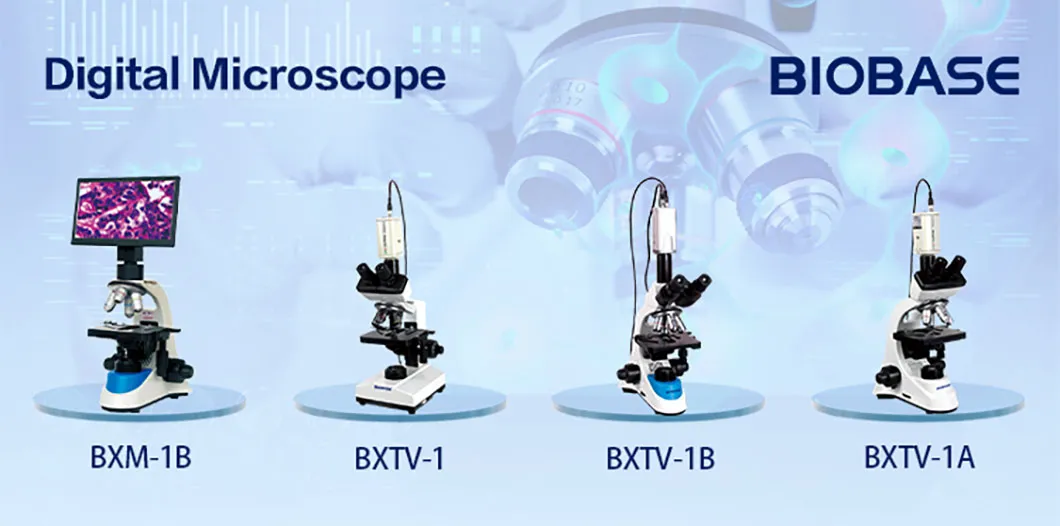 Biological Binocular Microscope