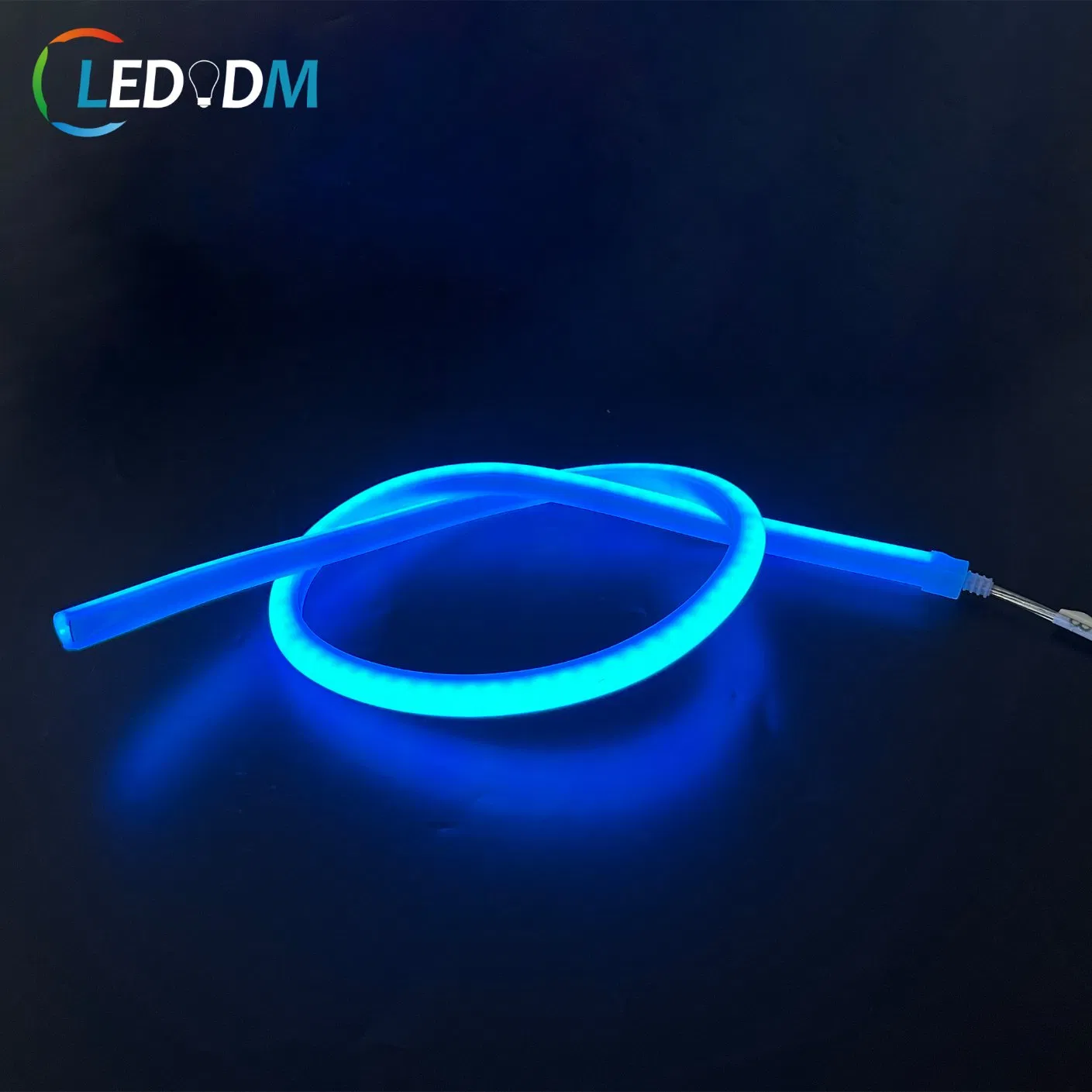 LED Neon Light Silicone 12V Christmas Black LED Chasing Flex RGB Blue Letter Green Neon LED Strip Lights with ETL CE Rhos