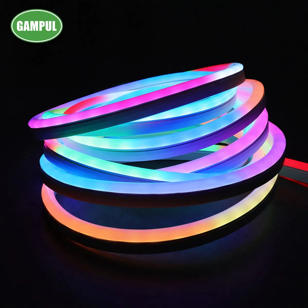 IP65 60LED/M SMD5050 Flexible LED Christmas Light LED RGB Chasing Neon Lighting