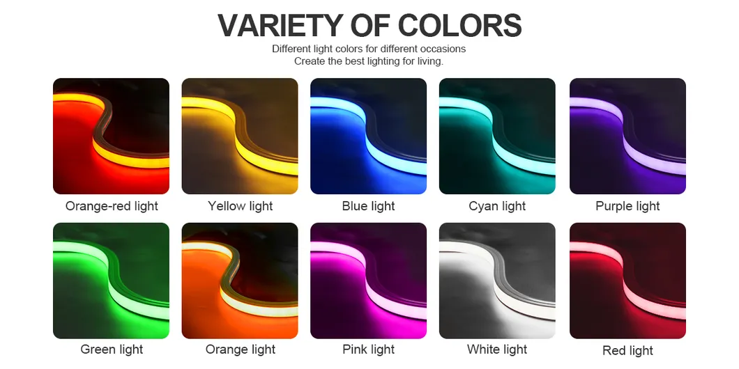 Neon Flex Application