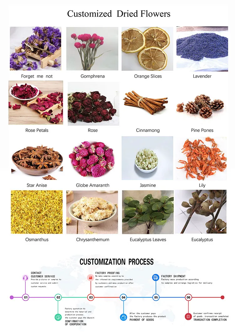 Certification and Quality